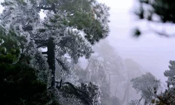 了解请问 心眼多的人都是什么下场?,提升你的知识星球体验